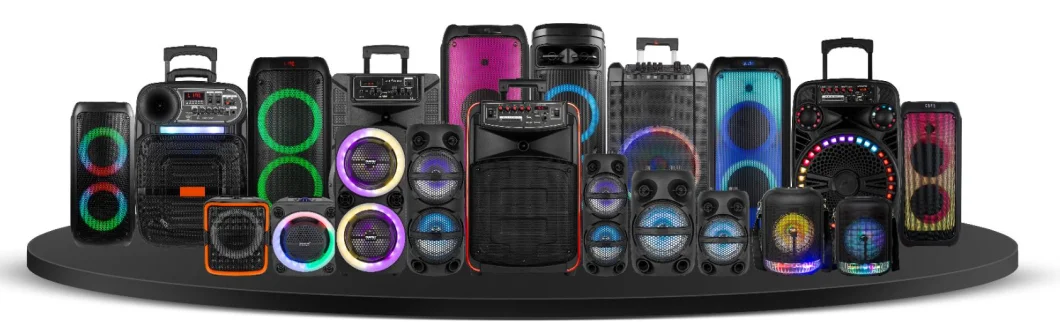 Temeisheng 12 Inch Rechargeable Tws Bt Portable Trolley Party Speakers with Two Wireless Mic FM Radio A12-1L